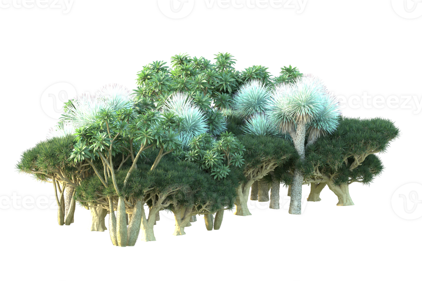 Tropical forest isolated on transparent background. 3d rendering - illustration png