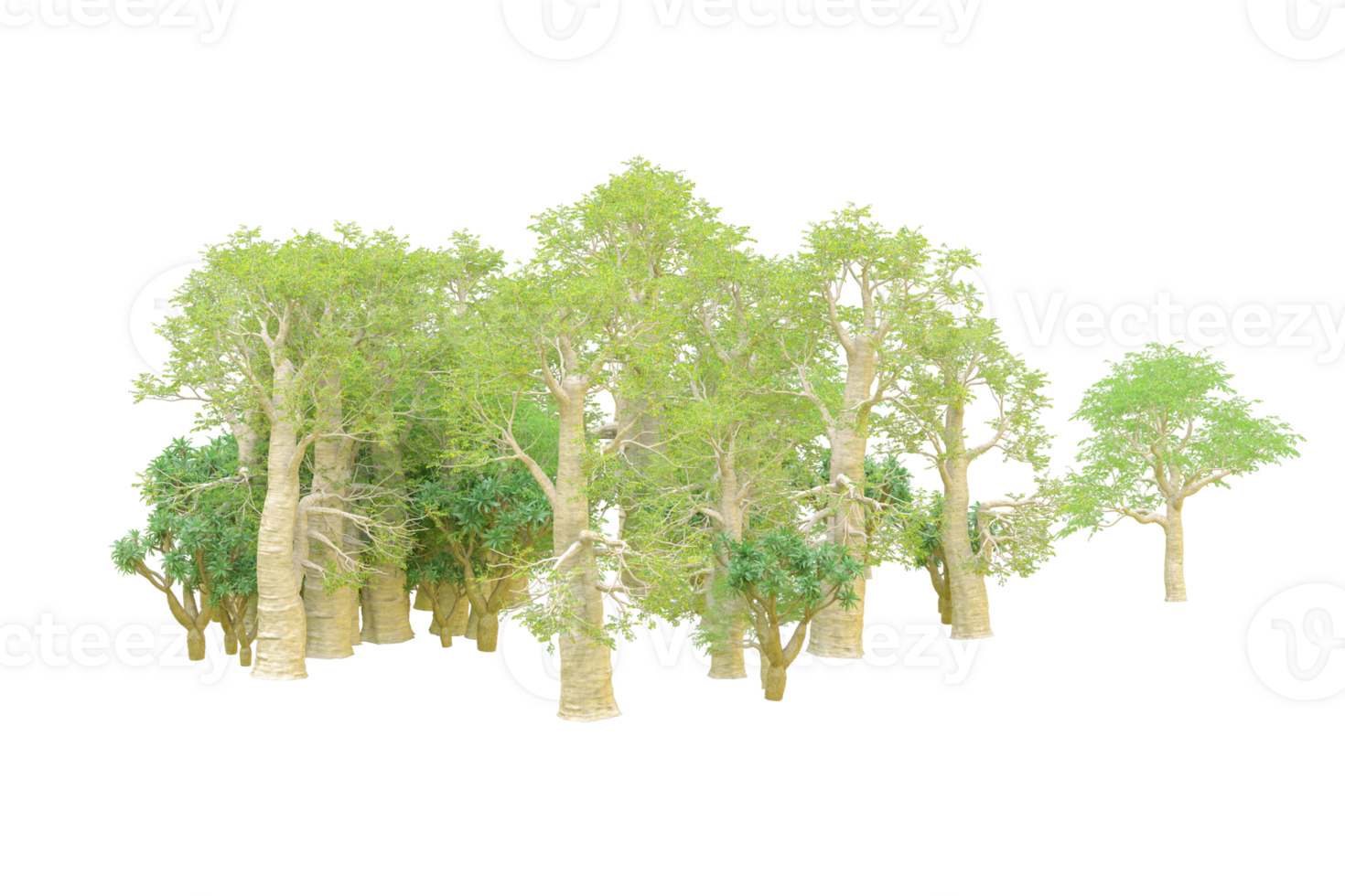 Tropical forest isolated on transparent background. 3d rendering - illustration png