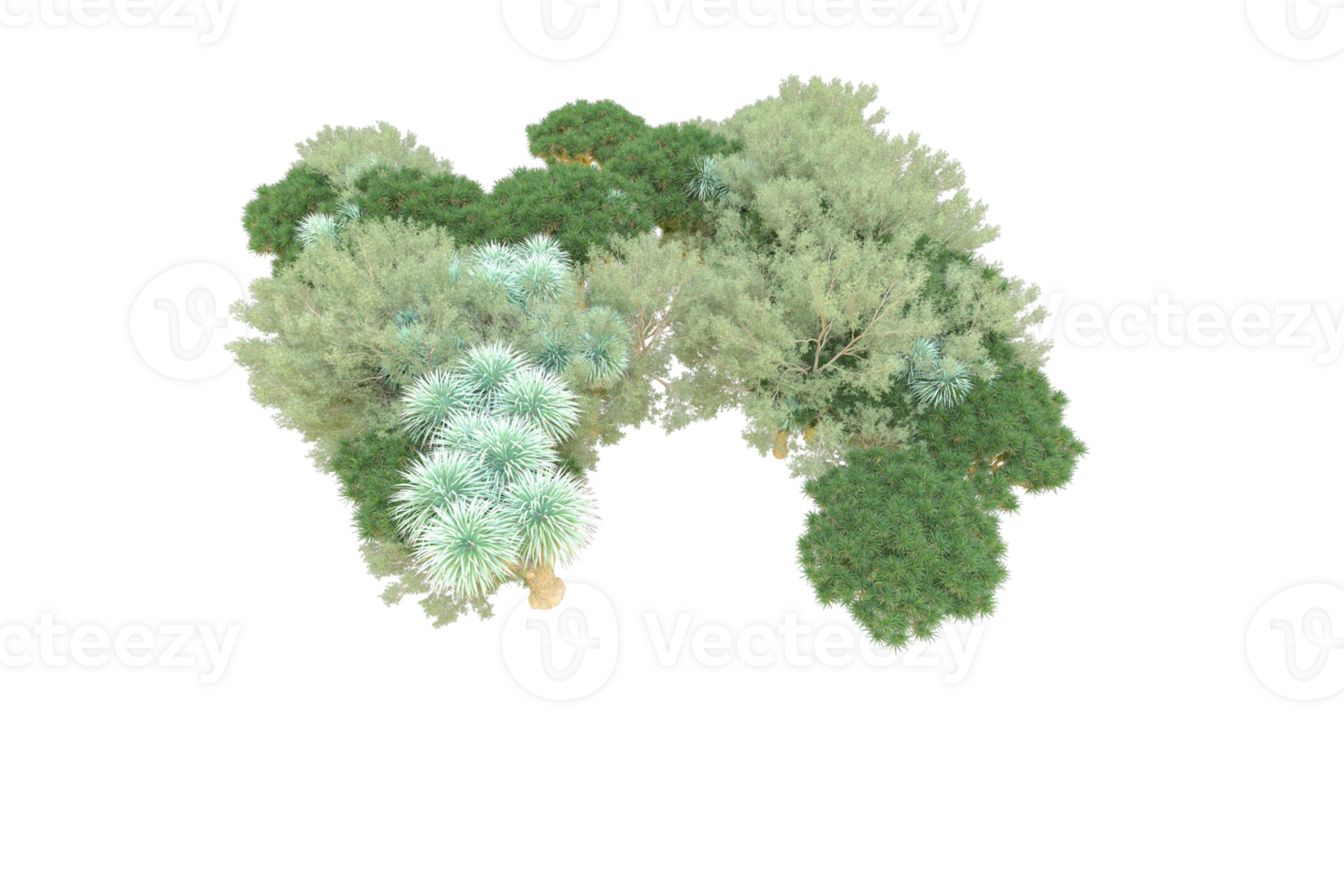 tropisk skog isolerat på transparent bakgrund. 3d tolkning - illustration png