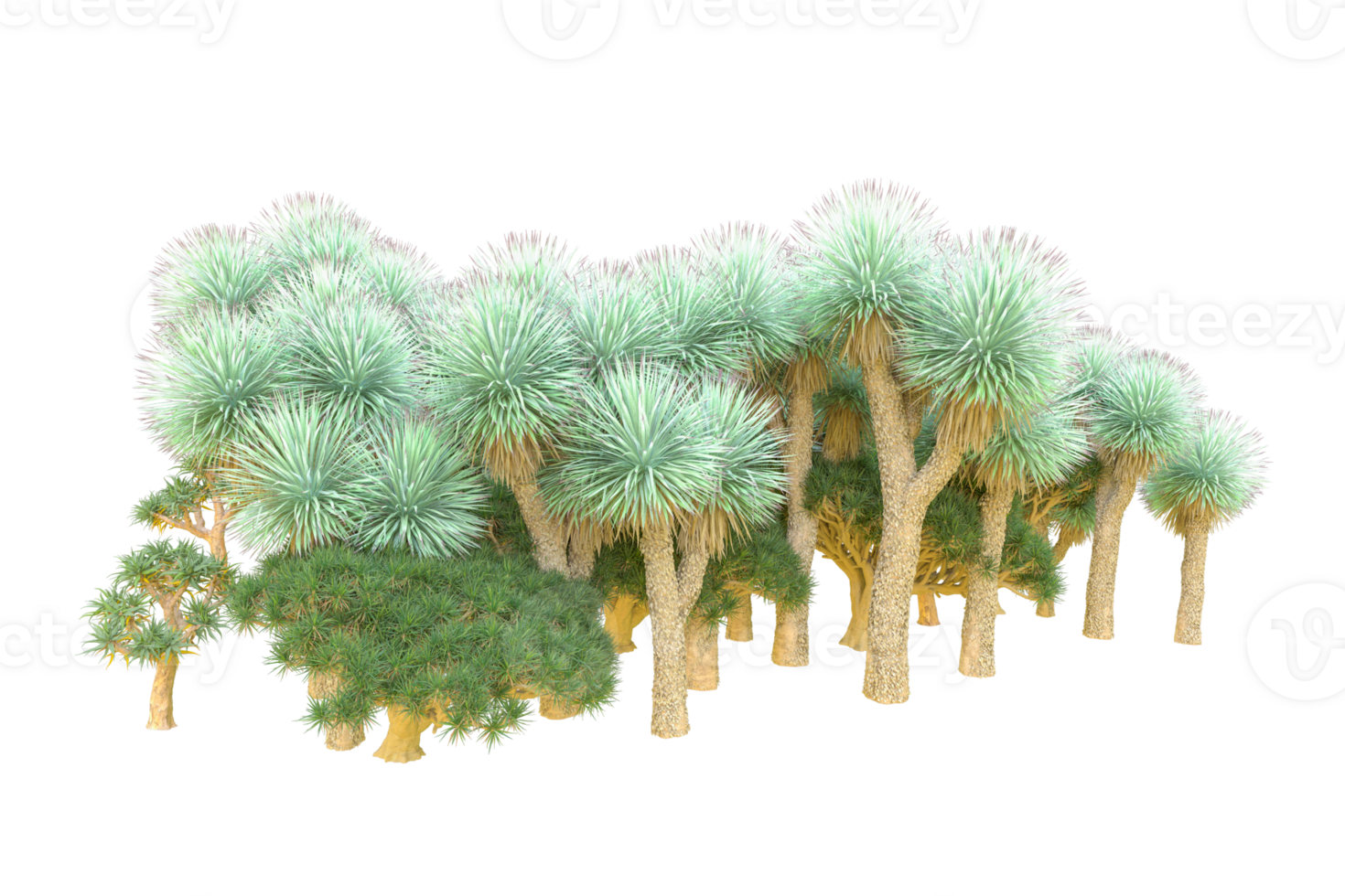 Tropical forest isolated on transparent background. 3d rendering - illustration png