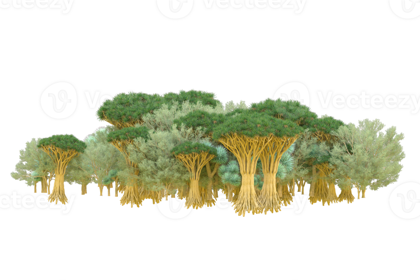 Tropical forest isolated on transparent background. 3d rendering - illustration png