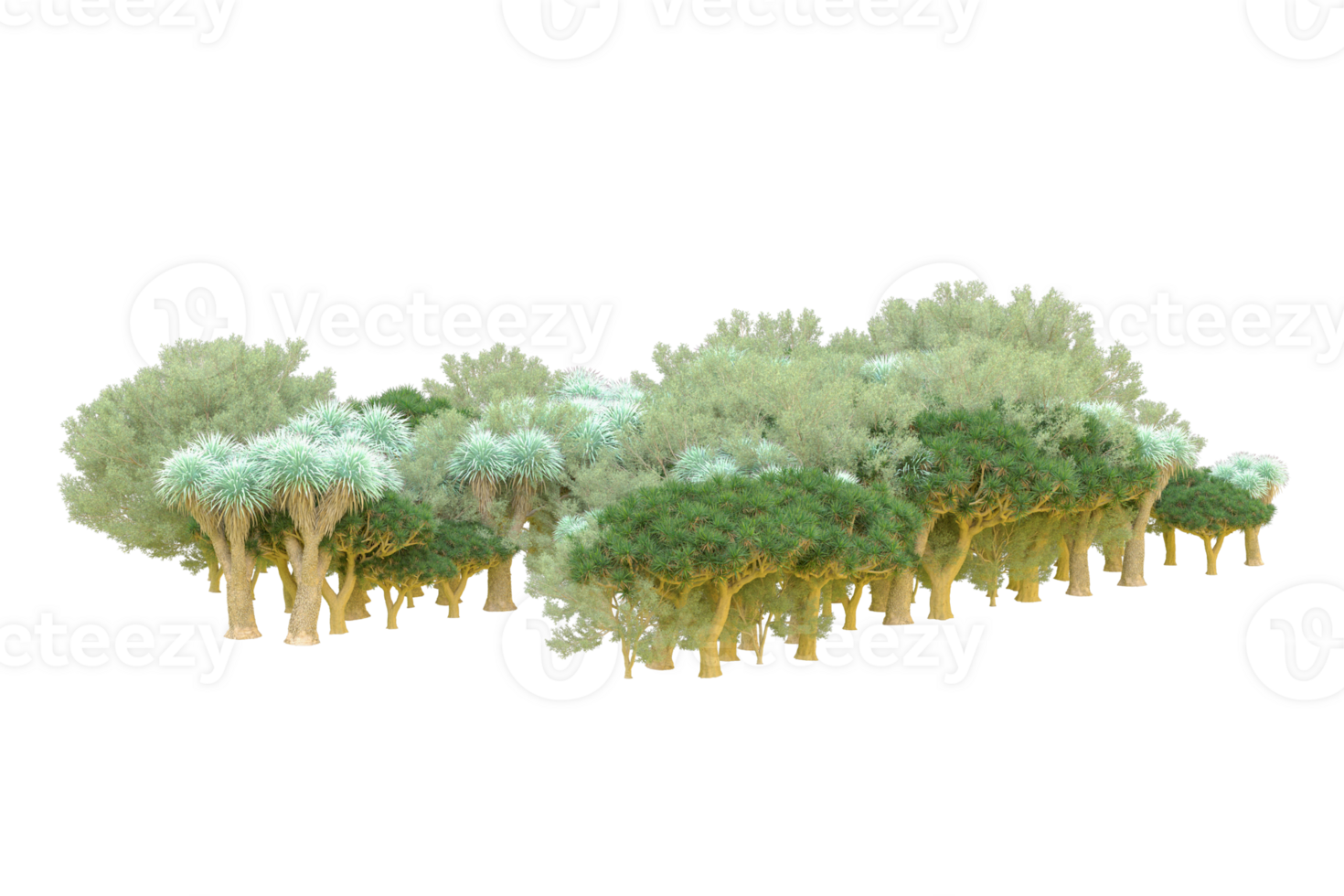 Tropical forest isolated on transparent background. 3d rendering - illustration png