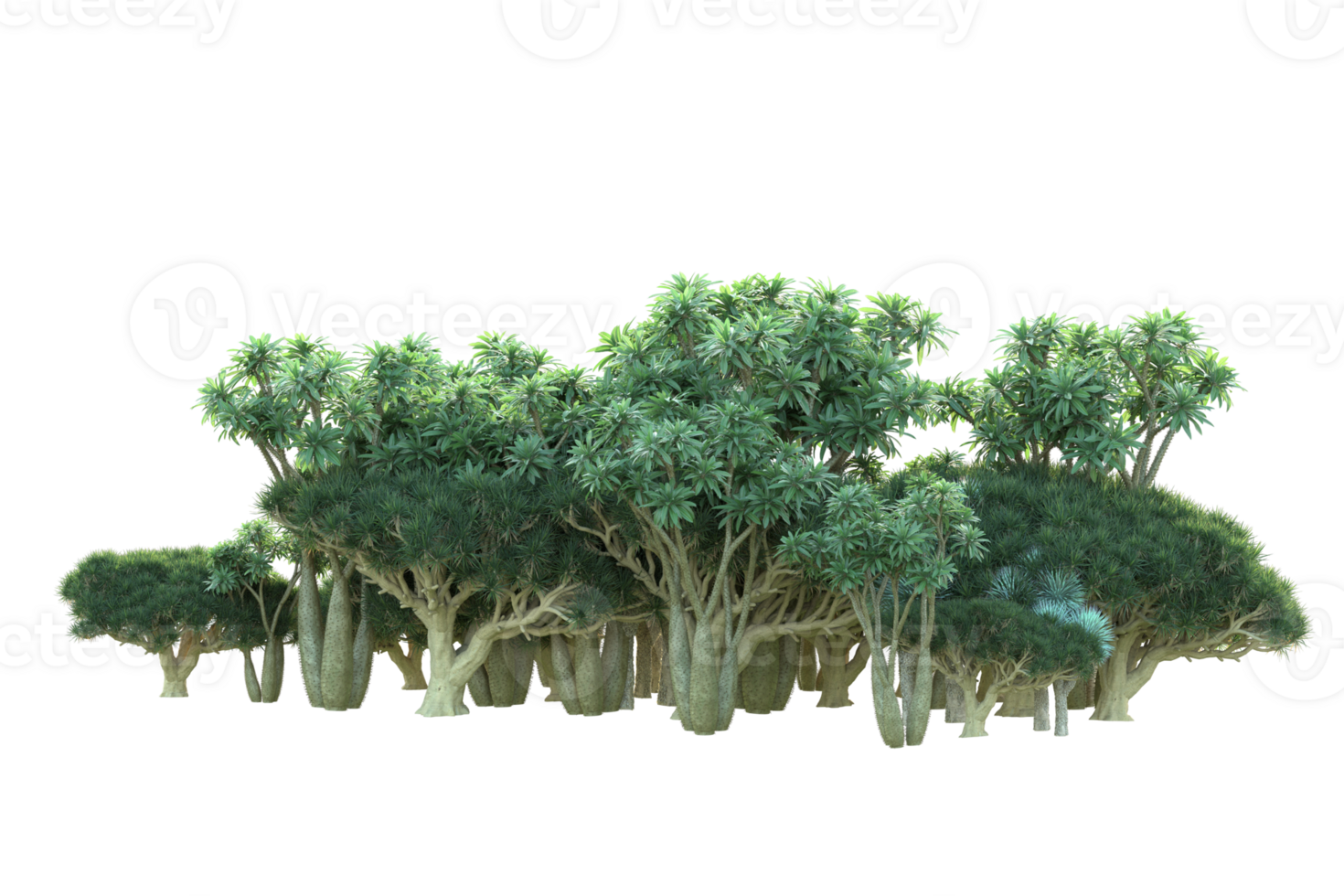 Tropical forest isolated on transparent background. 3d rendering - illustration png