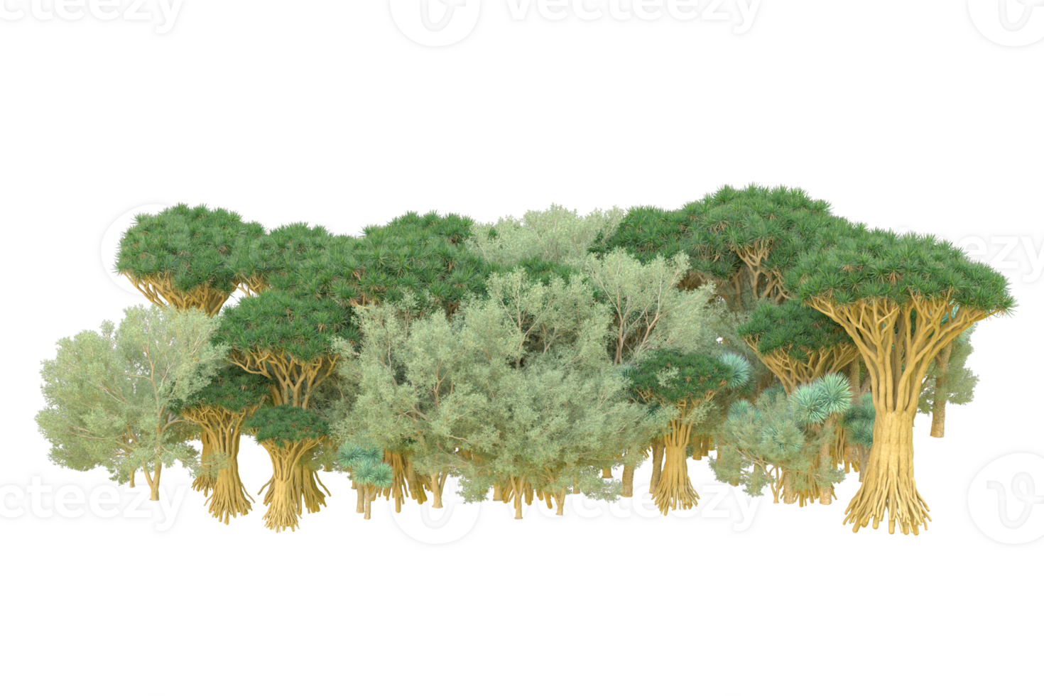 Tropical forest isolated on transparent background. 3d rendering - illustration png