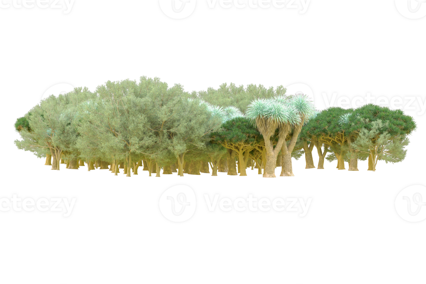 Tropical forest isolated on transparent background. 3d rendering - illustration png