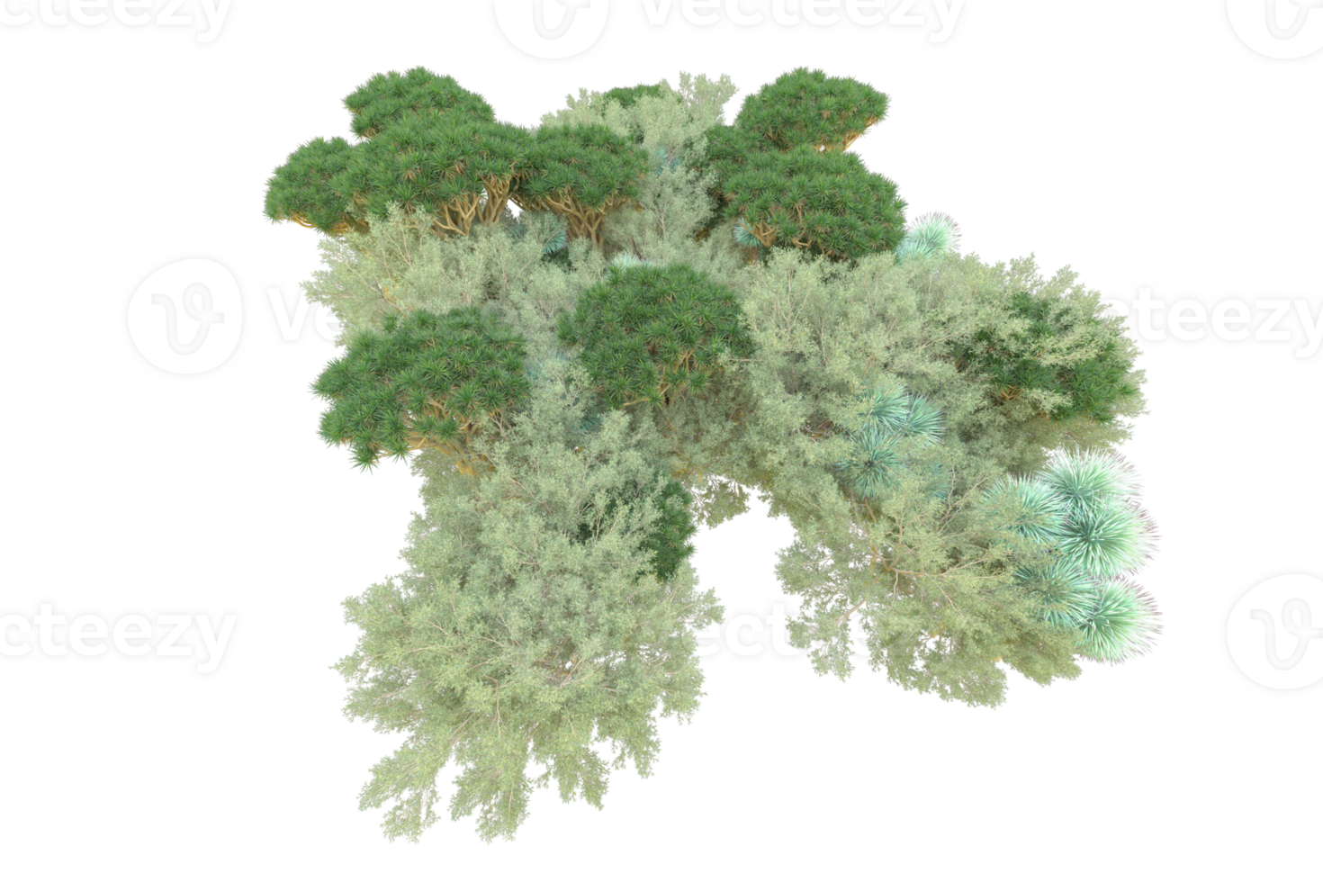 Tropical forest isolated on transparent background. 3d rendering - illustration png