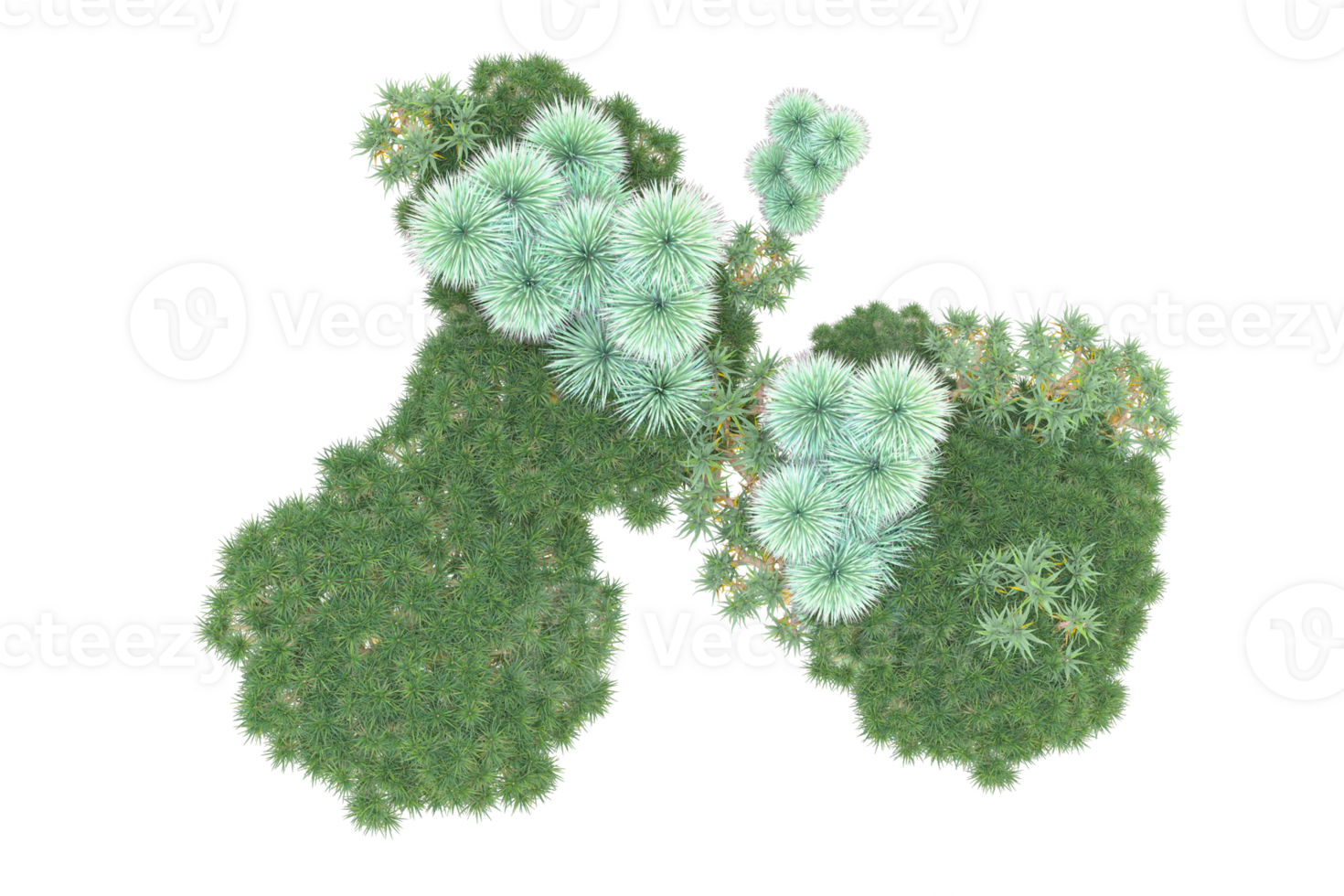Tropical forest isolated on transparent background. 3d rendering - illustration png
