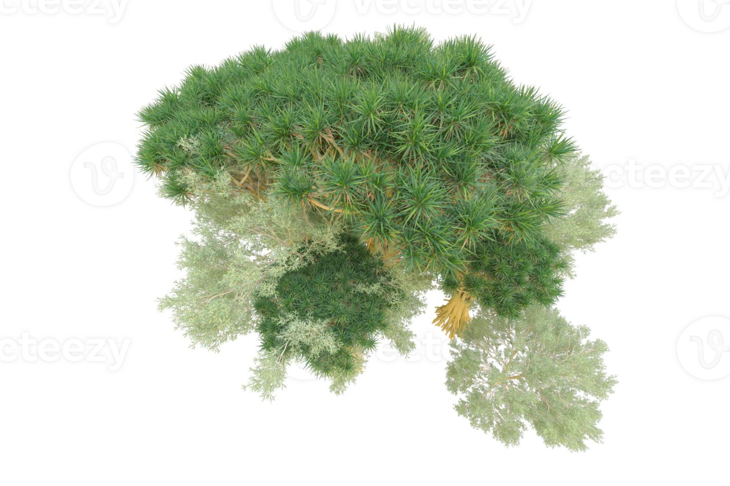 Tropical forest isolated on transparent background. 3d rendering - illustration png