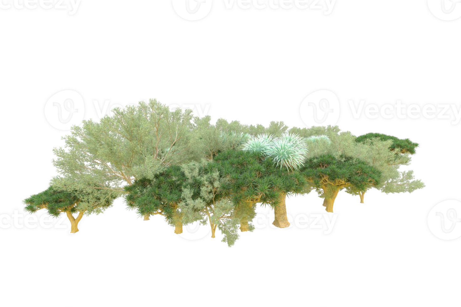 Tropical forest isolated on transparent background. 3d rendering - illustration png