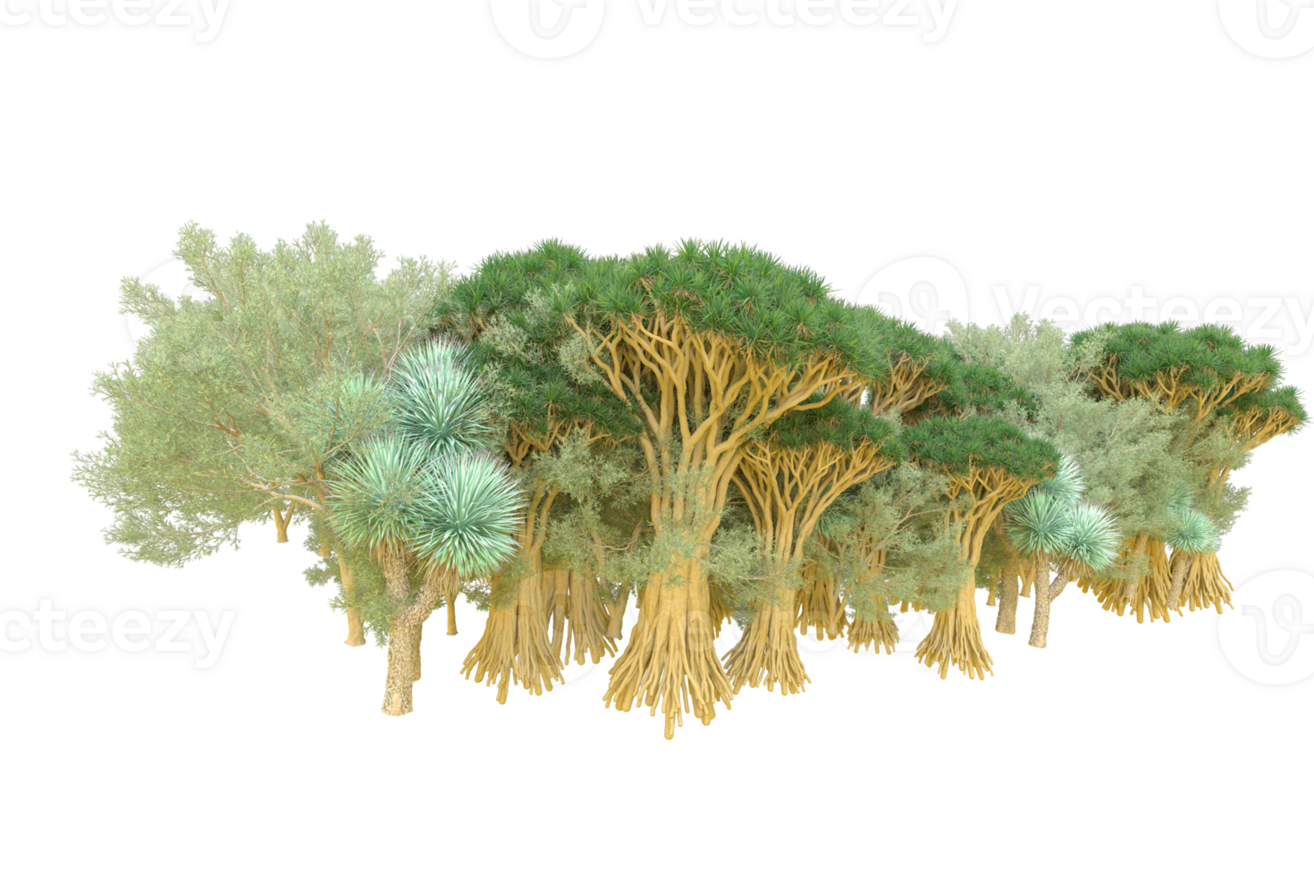 Tropical forest isolated on transparent background. 3d rendering - illustration png