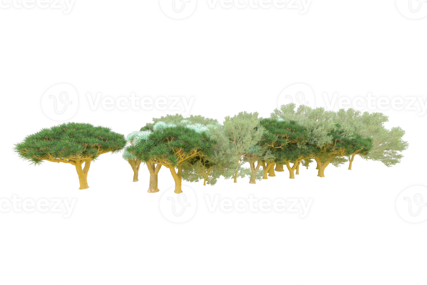 Tropical forest isolated on transparent background. 3d rendering - illustration png
