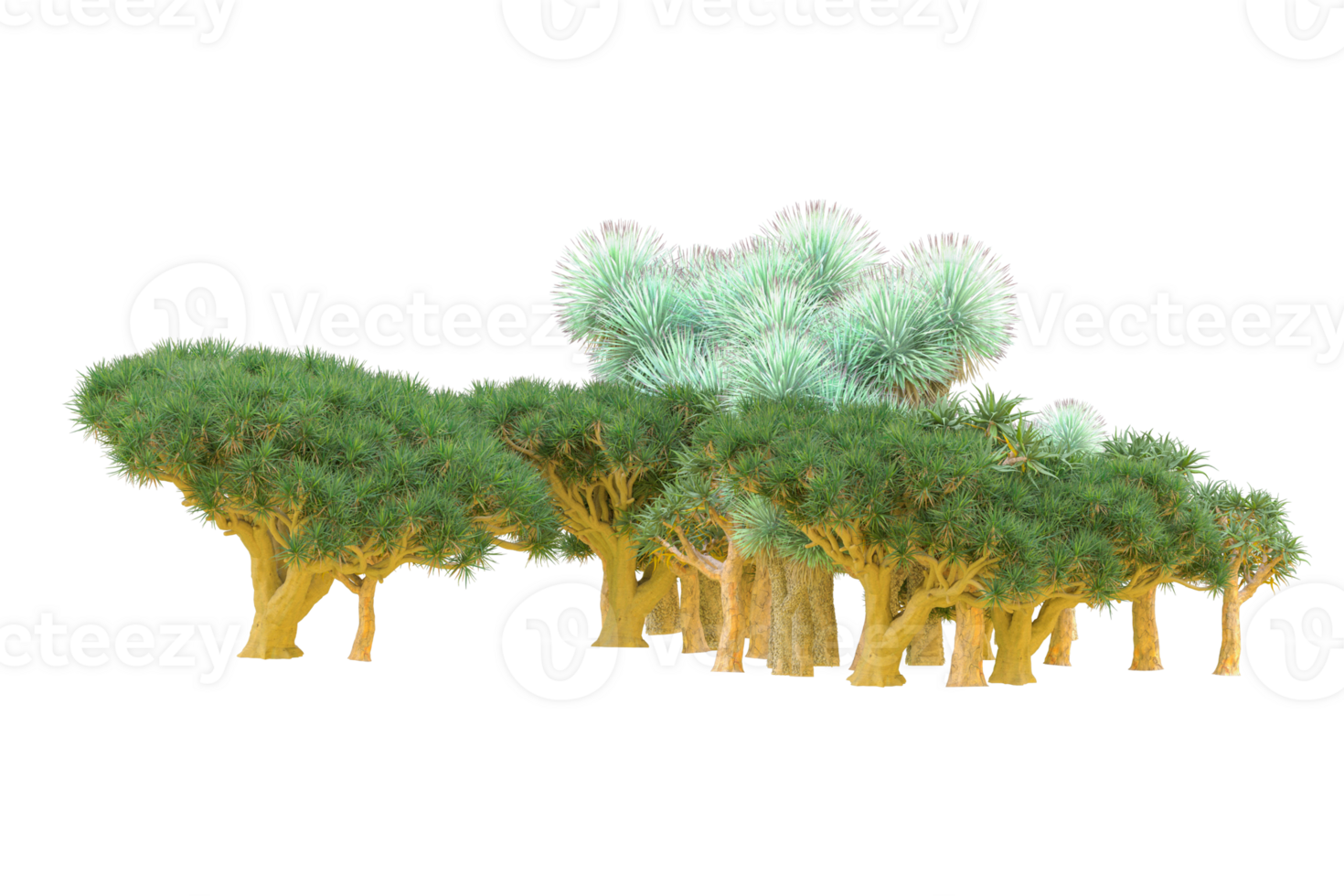 Tropical forest isolated on transparent background. 3d rendering - illustration png
