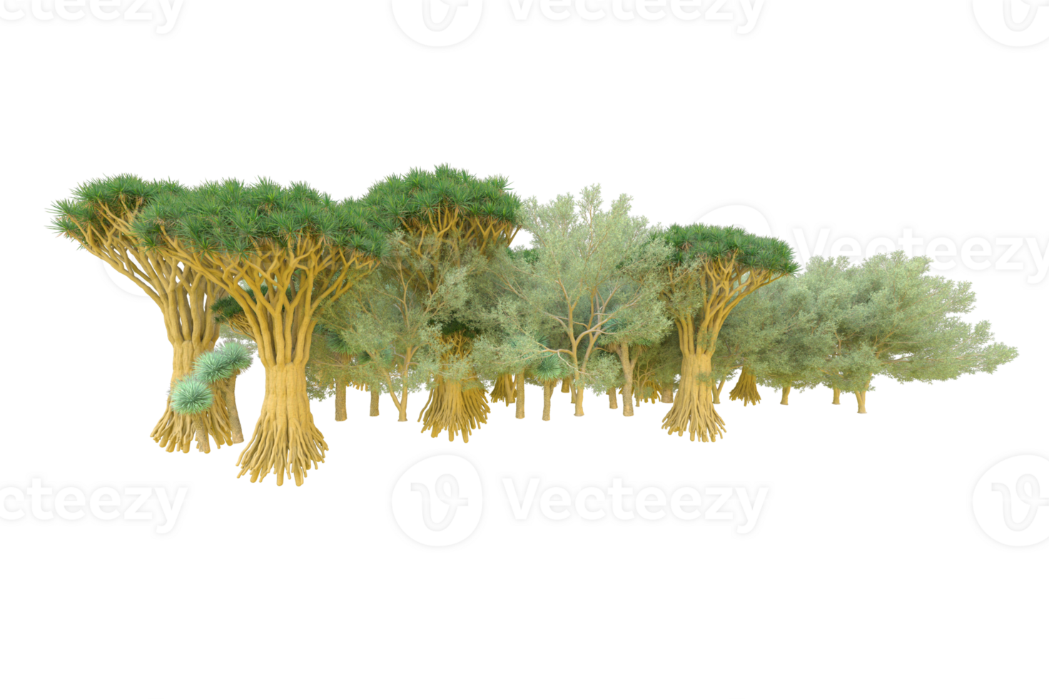 Tropical forest isolated on transparent background. 3d rendering - illustration png