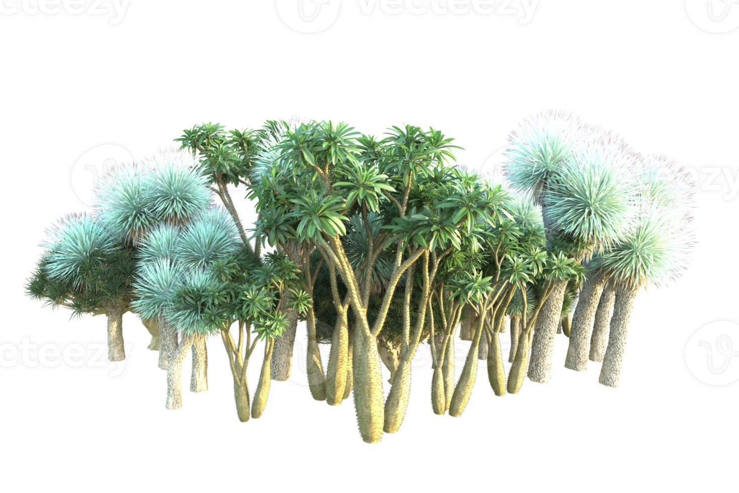 Tropical forest isolated on transparent background. 3d rendering - illustration png