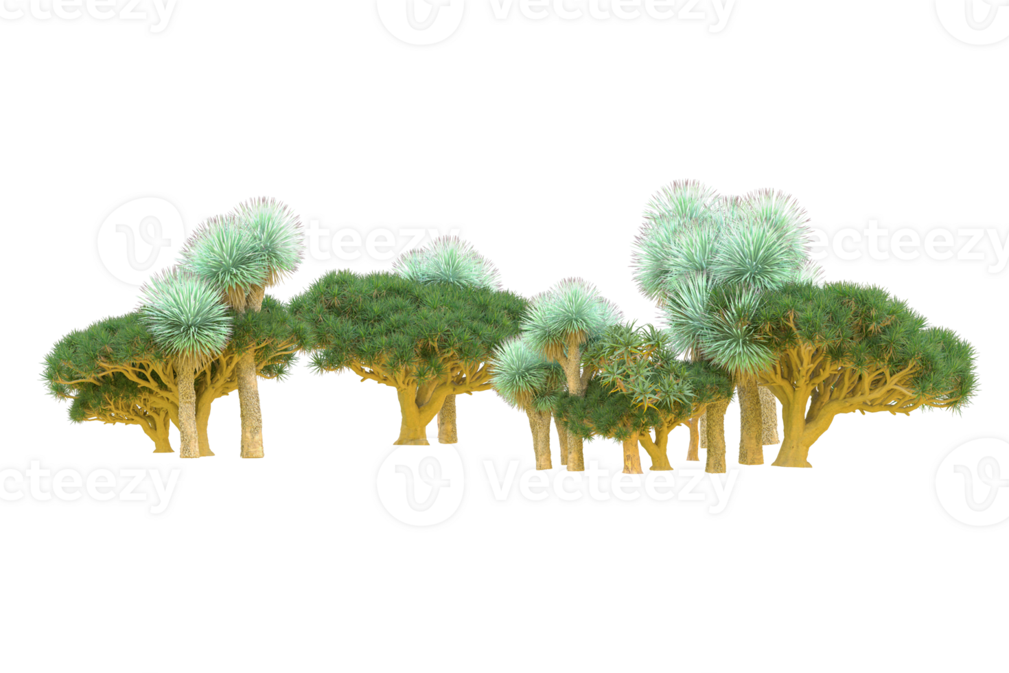 Tropical forest isolated on transparent background. 3d rendering - illustration png