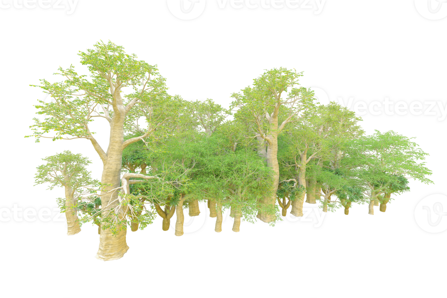 Tropical forest isolated on transparent background. 3d rendering - illustration png