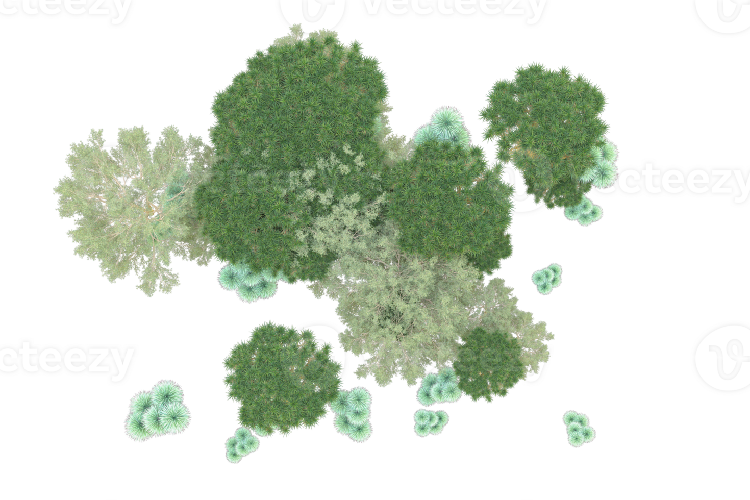 Tropical forest isolated on transparent background. 3d rendering - illustration png