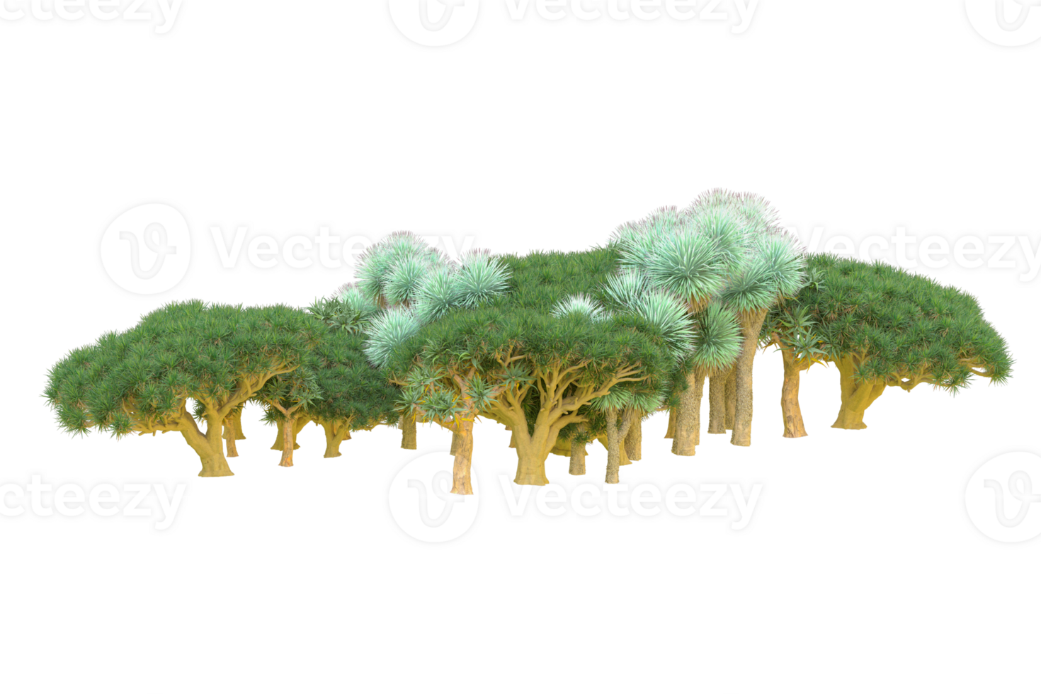 Tropical forest isolated on transparent background. 3d rendering - illustration png