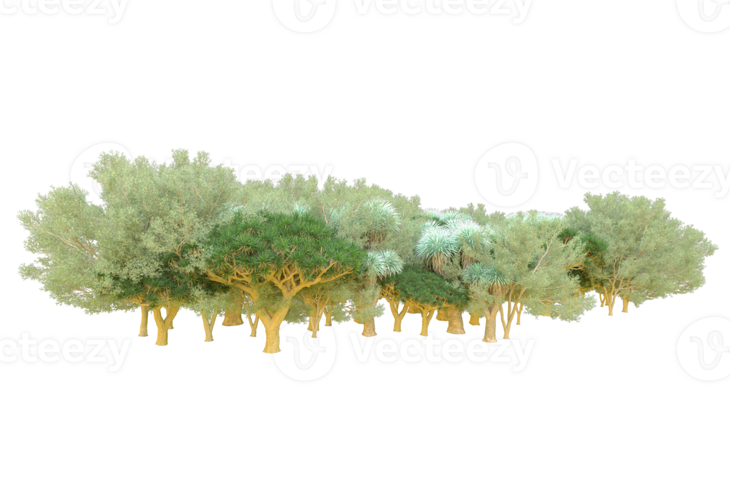 Tropical forest isolated on transparent background. 3d rendering - illustration png