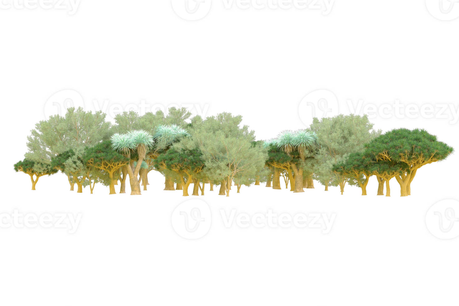 Tropical forest isolated on transparent background. 3d rendering - illustration png