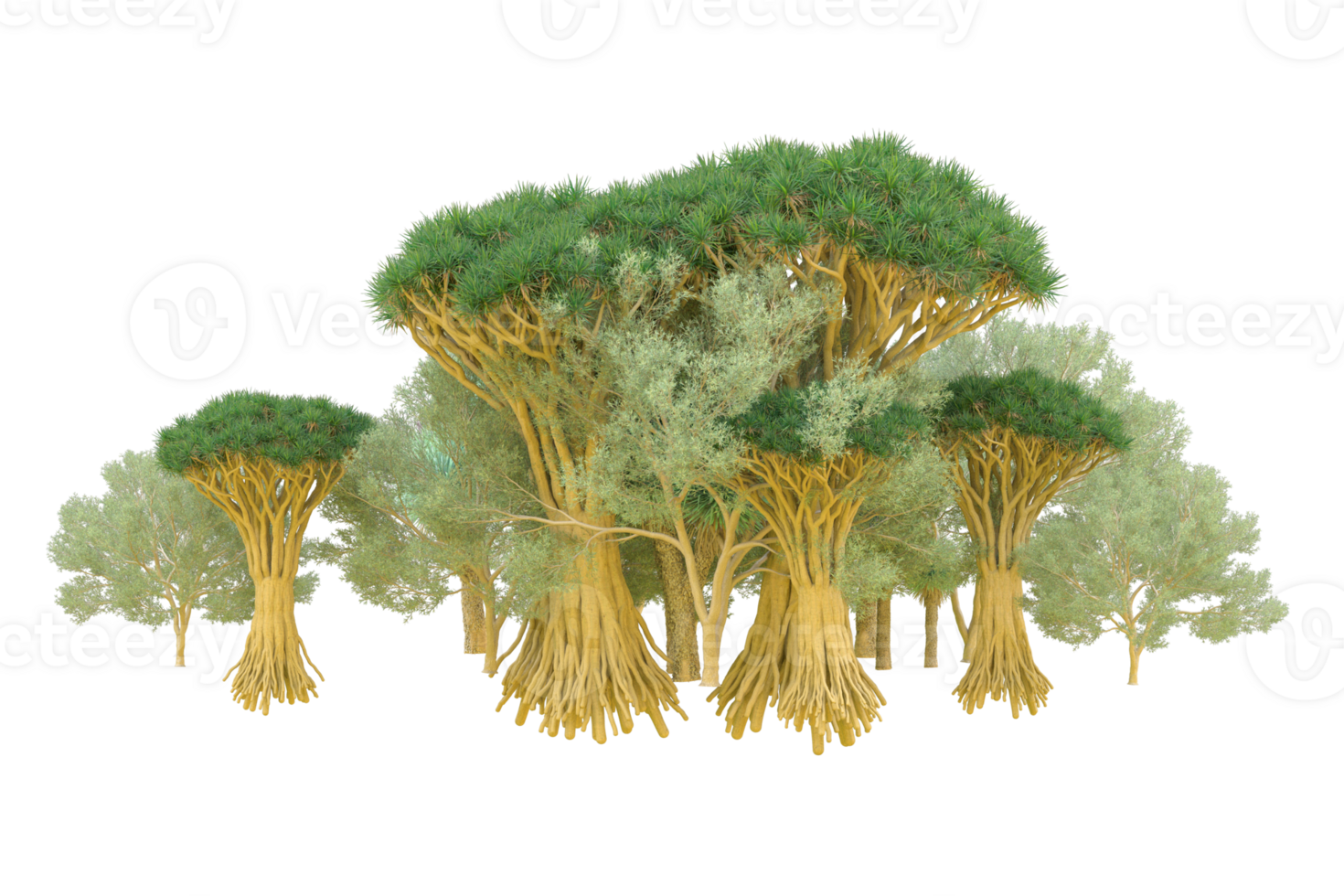 Tropical forest isolated on transparent background. 3d rendering - illustration png