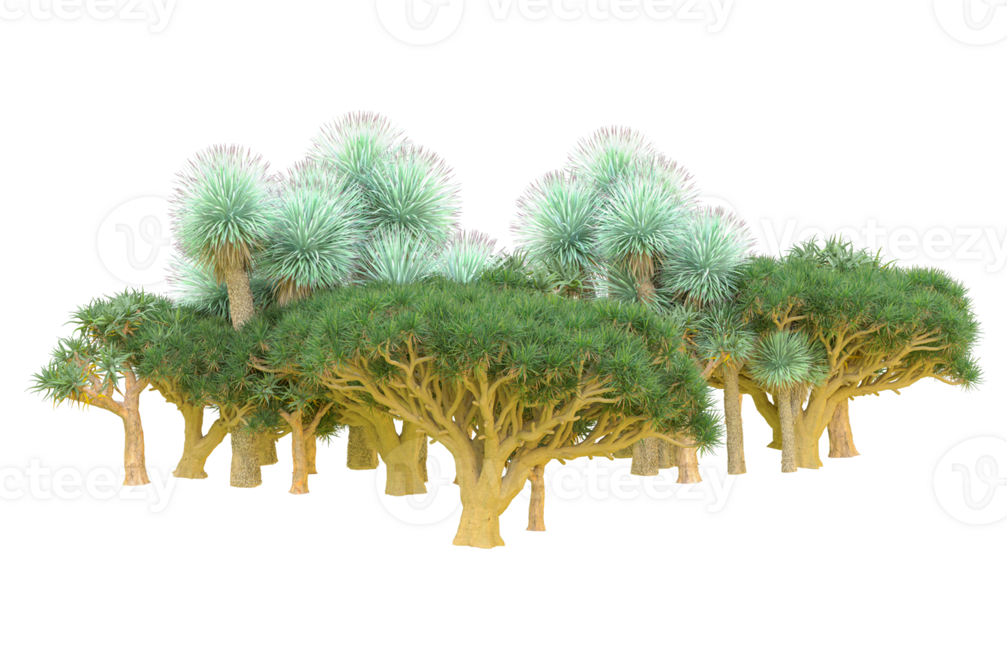 tropical bosque aislado en transparente antecedentes. 3d representación - ilustración png