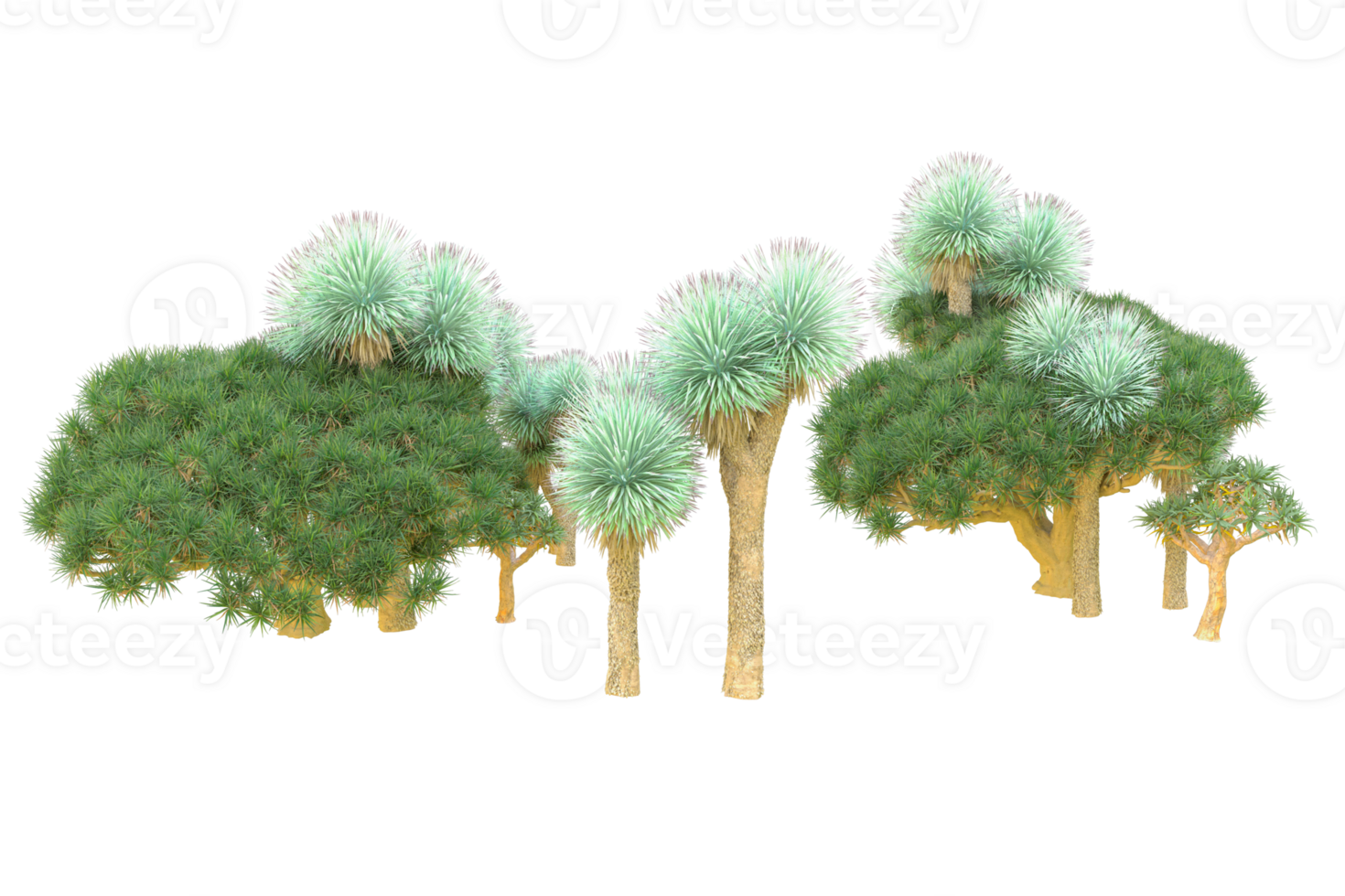 Tropical forest isolated on transparent background. 3d rendering - illustration png