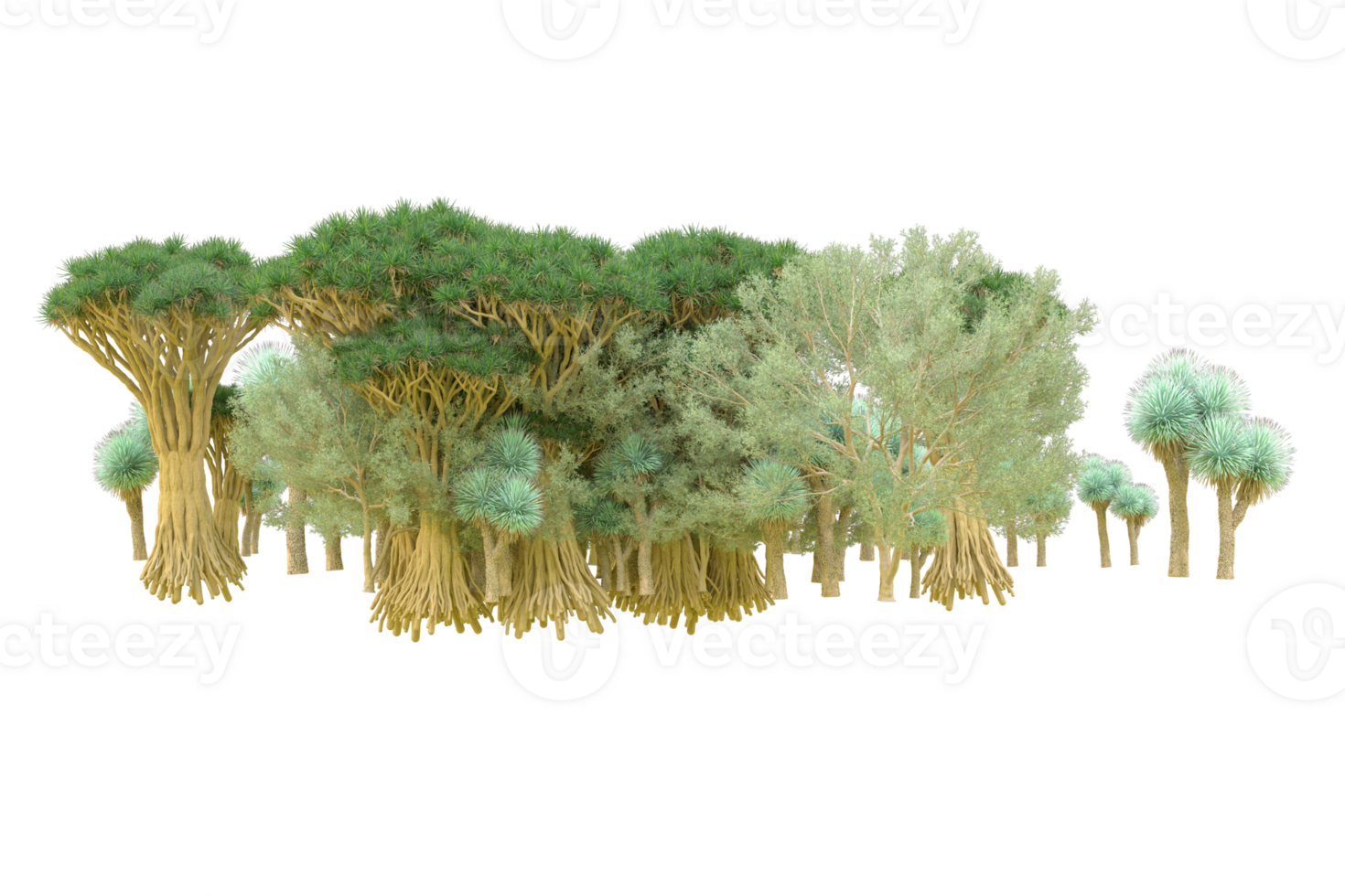 Tropical forest isolated on transparent background. 3d rendering - illustration png