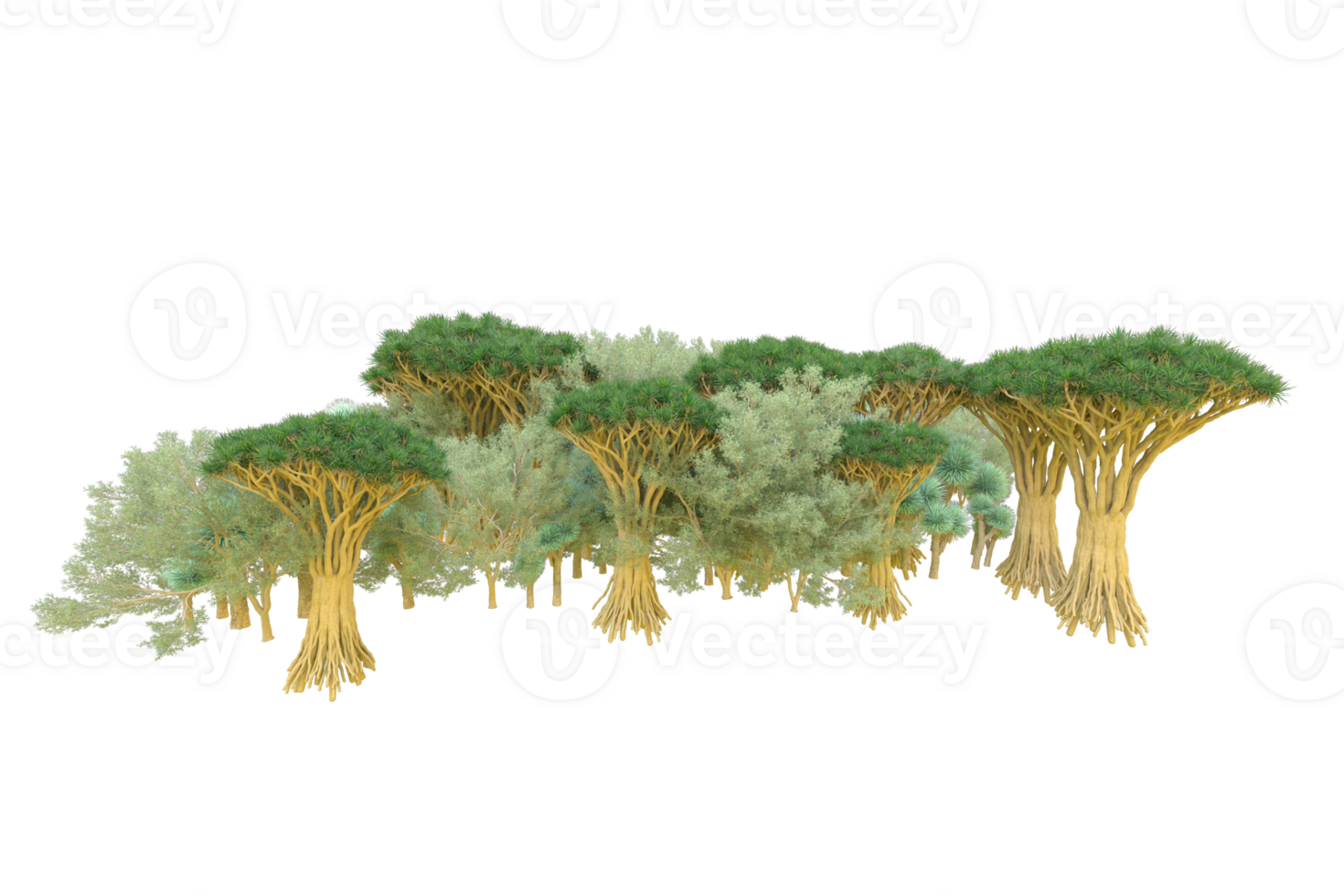 Tropical forest isolated on transparent background. 3d rendering - illustration png