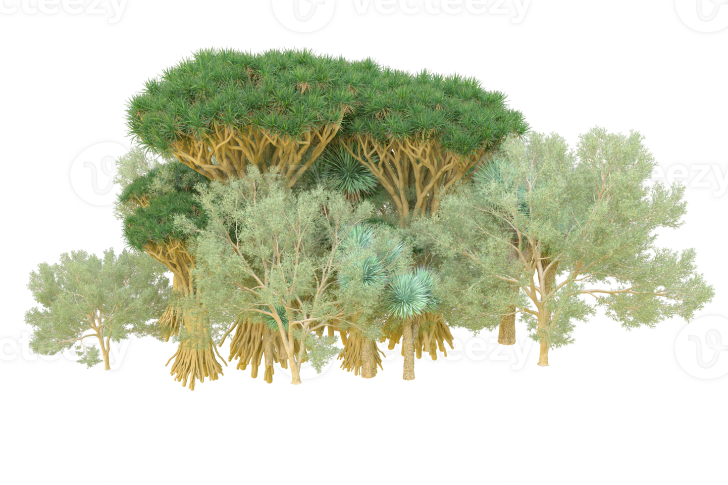 Tropical forest isolated on transparent background. 3d rendering - illustration png