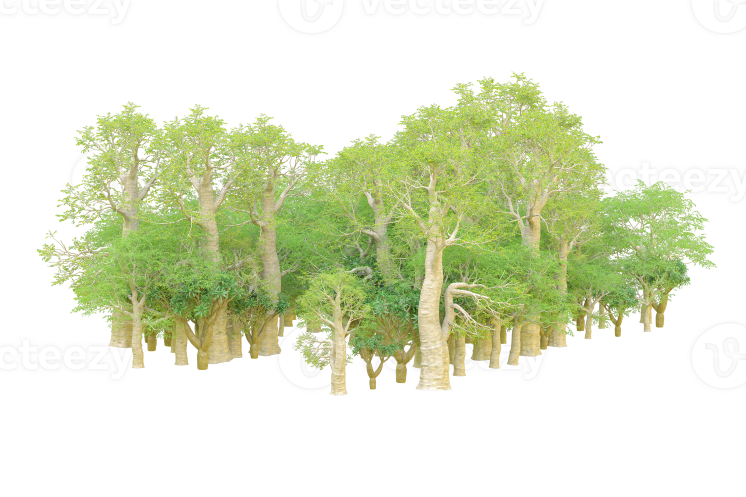 Tropical forest isolated on transparent background. 3d rendering - illustration png
