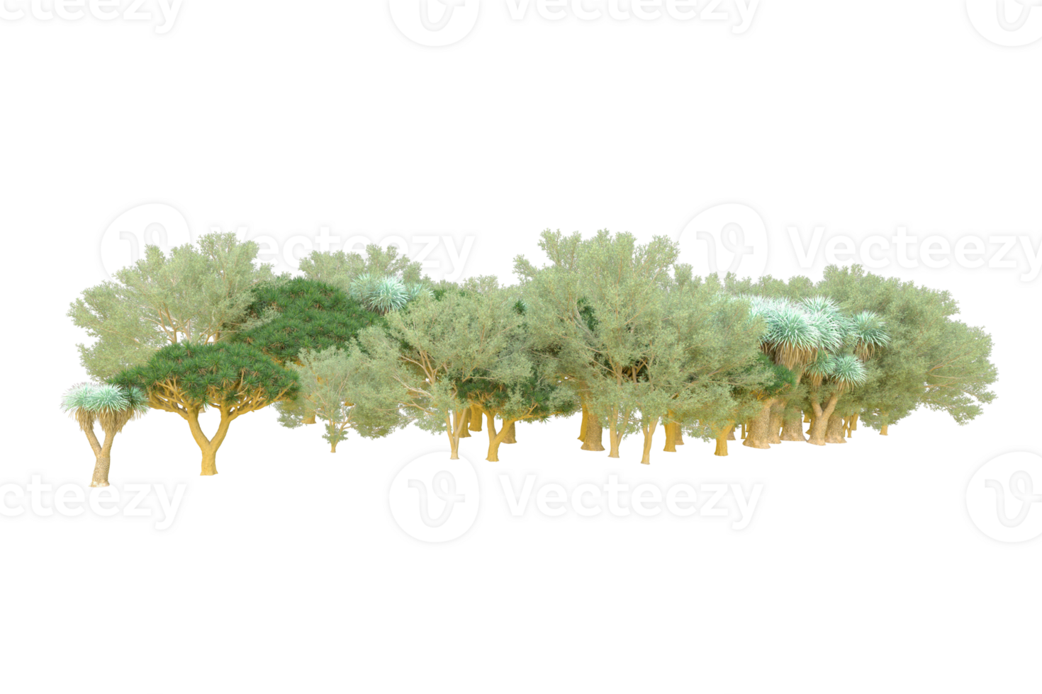 Tropical forest isolated on transparent background. 3d rendering - illustration png
