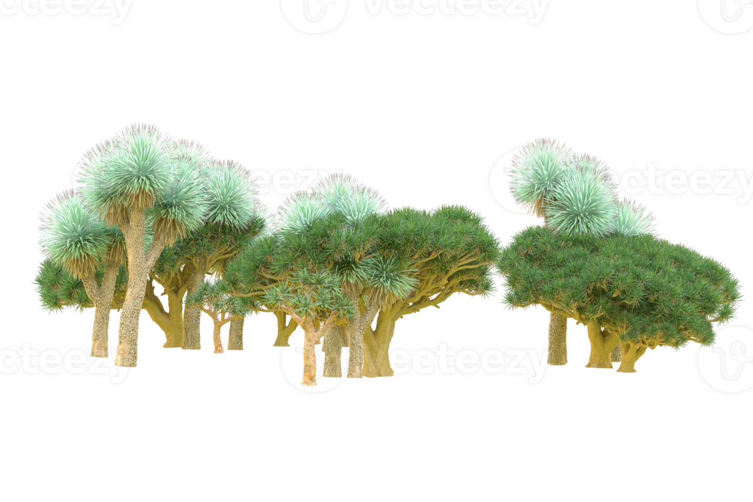 Tropical forest isolated on transparent background. 3d rendering - illustration png