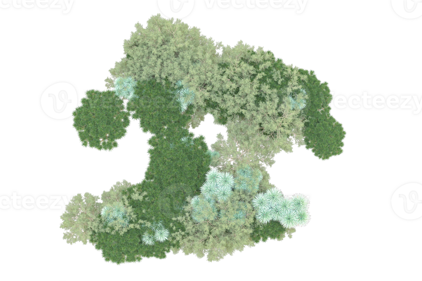 Tropical forest isolated on transparent background. 3d rendering - illustration png
