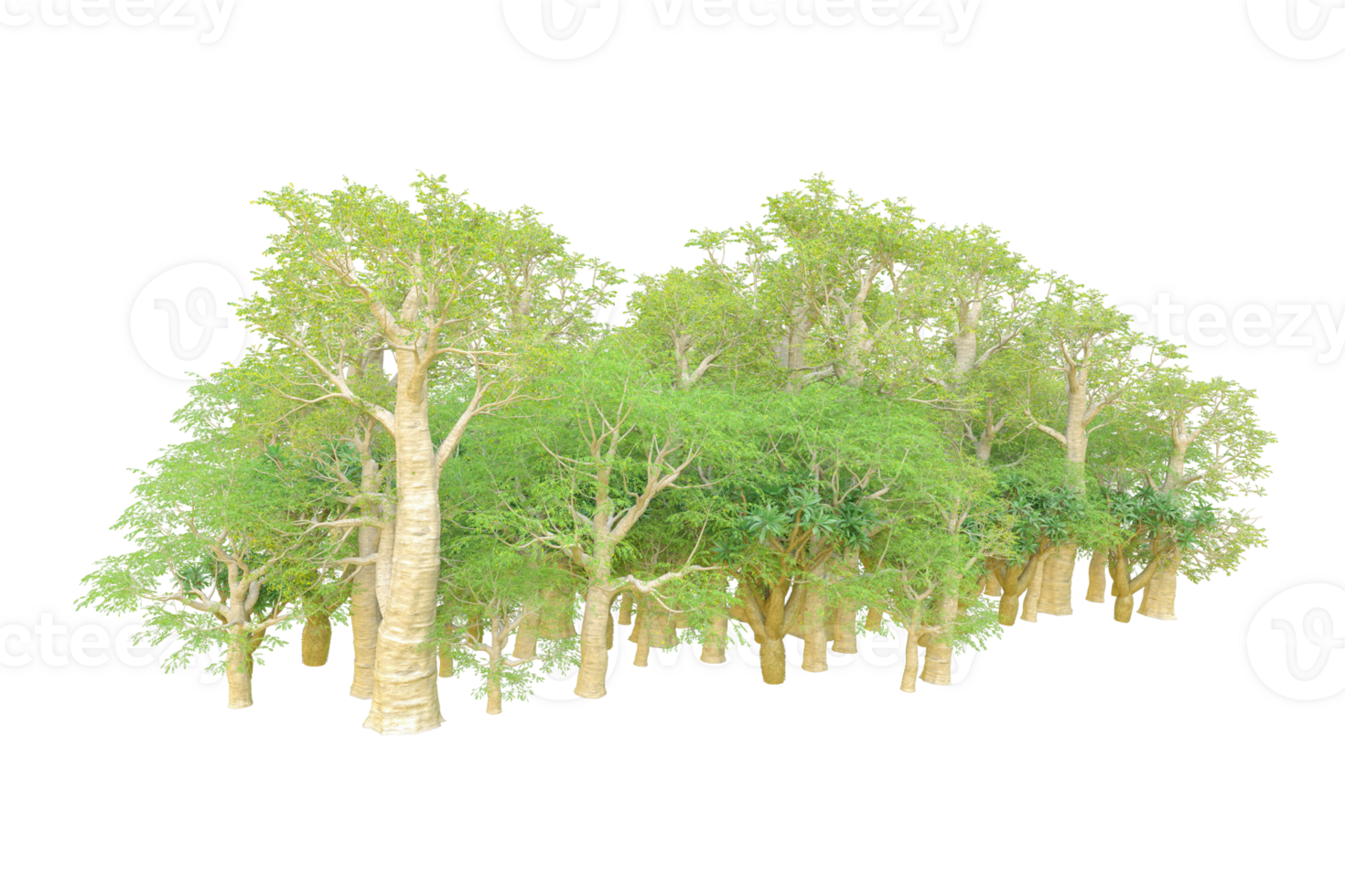 Tropical forest isolated on transparent background. 3d rendering - illustration png