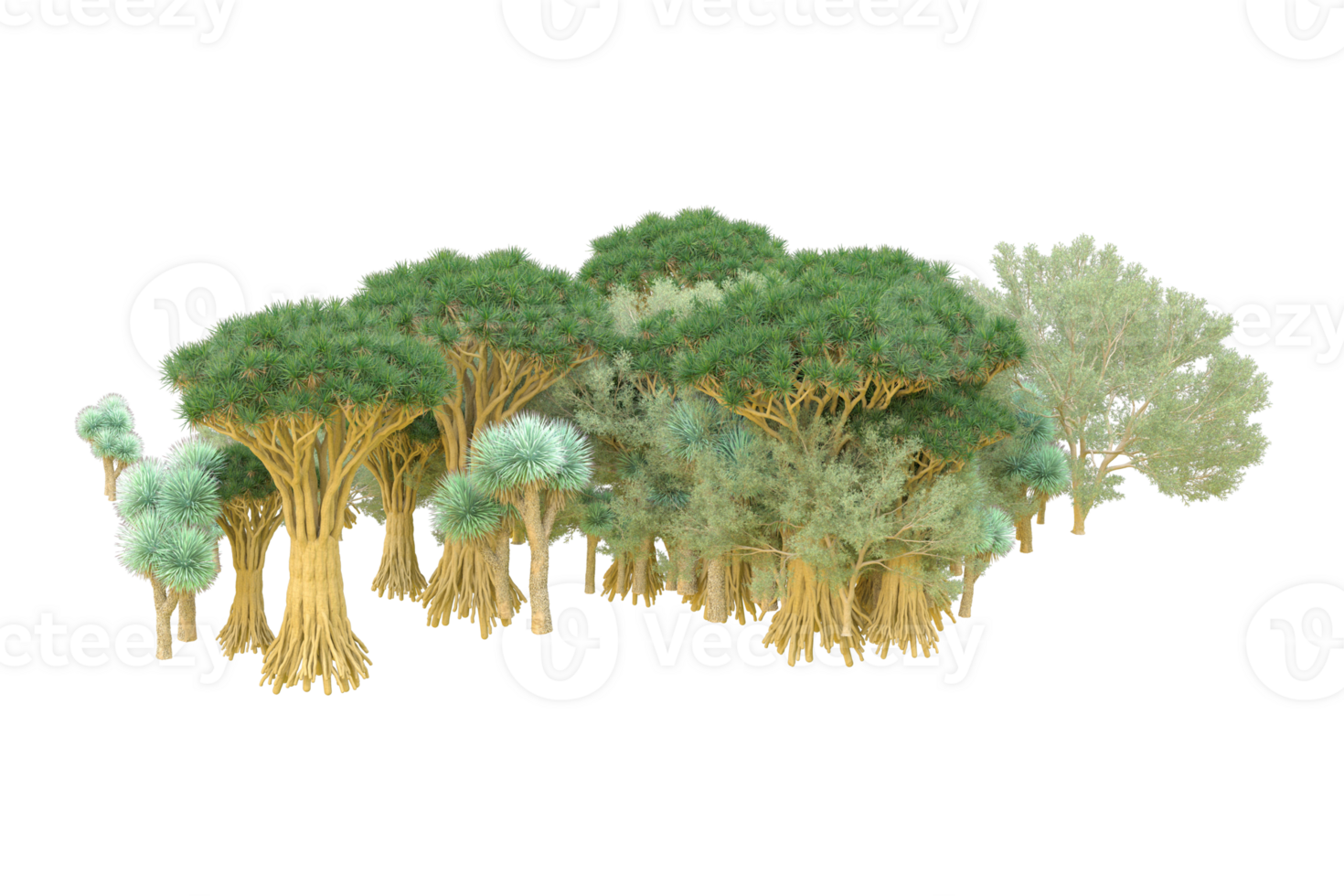 Tropical forest isolated on transparent background. 3d rendering - illustration png