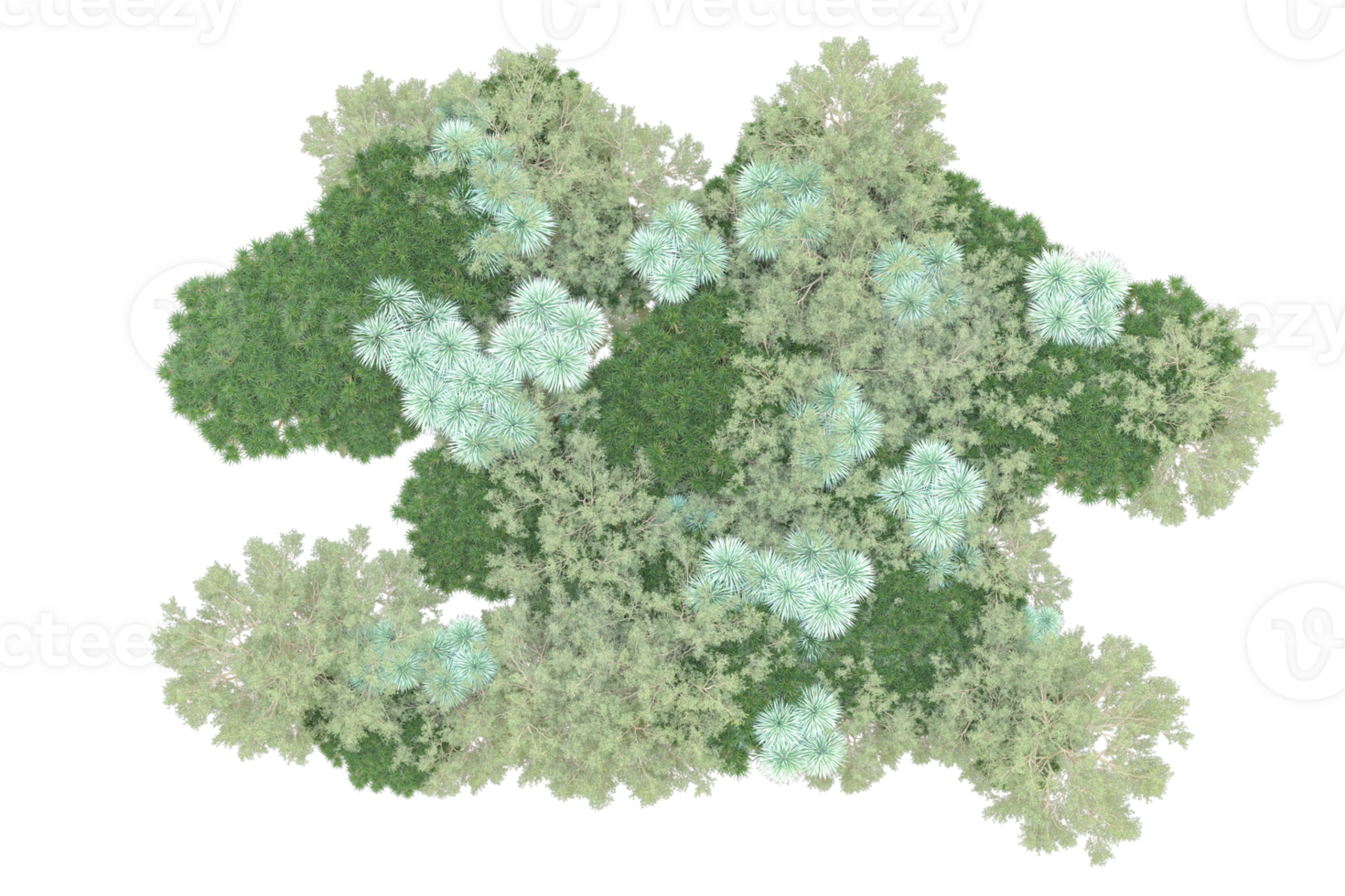Tropical forest isolated on transparent background. 3d rendering - illustration png