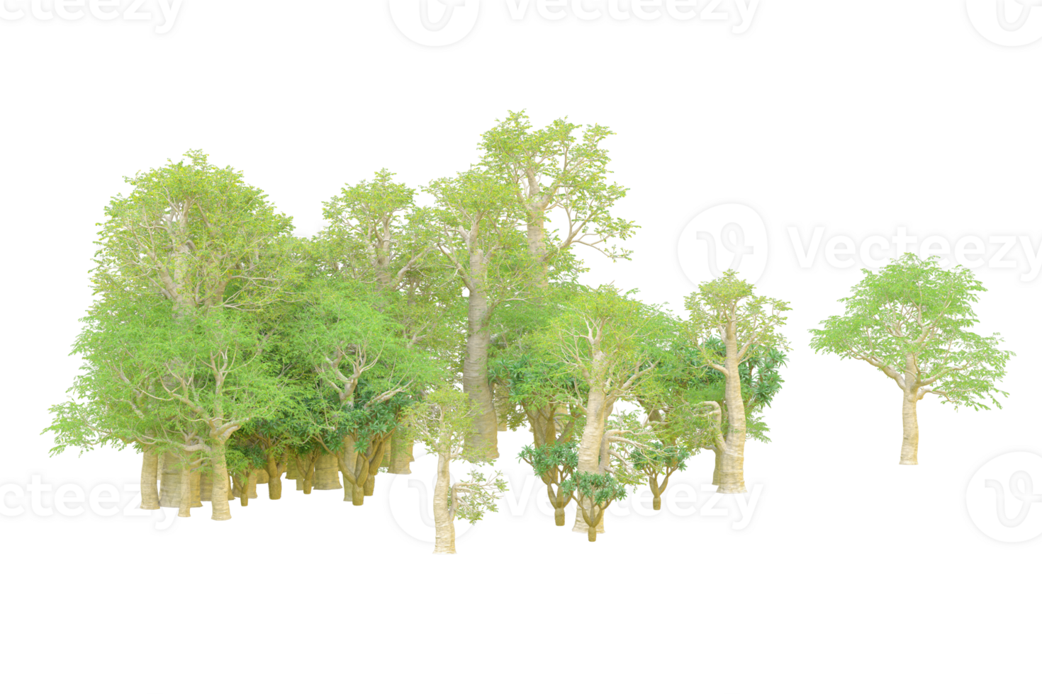 Tropical forest isolated on transparent background. 3d rendering - illustration png