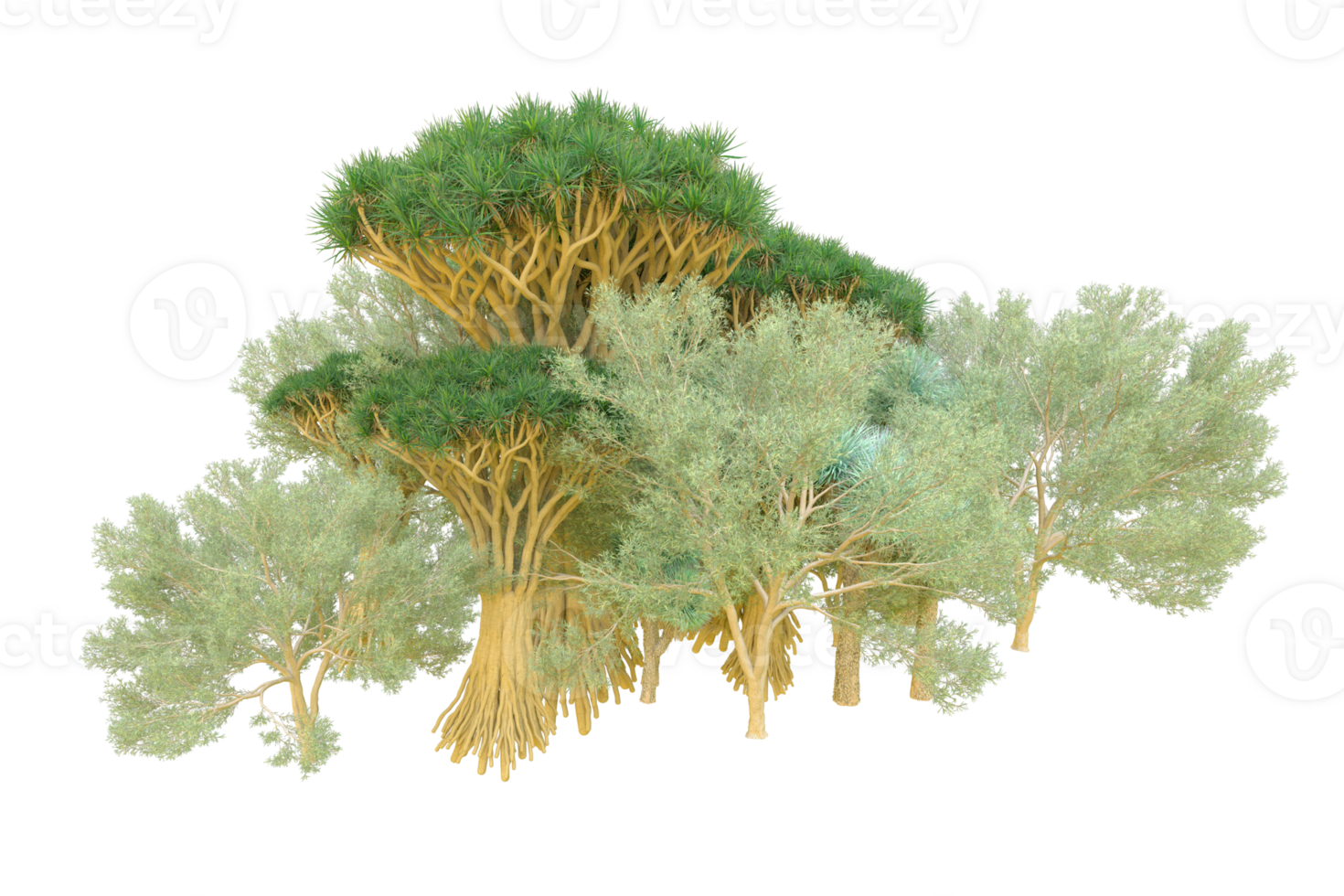 Tropical forest isolated on transparent background. 3d rendering - illustration png