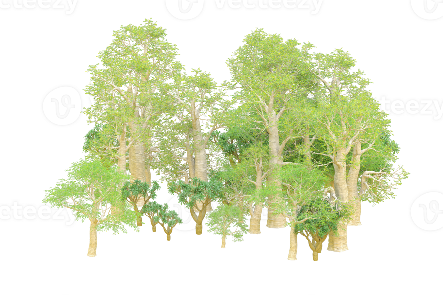 Tropical forest isolated on transparent background. 3d rendering - illustration png