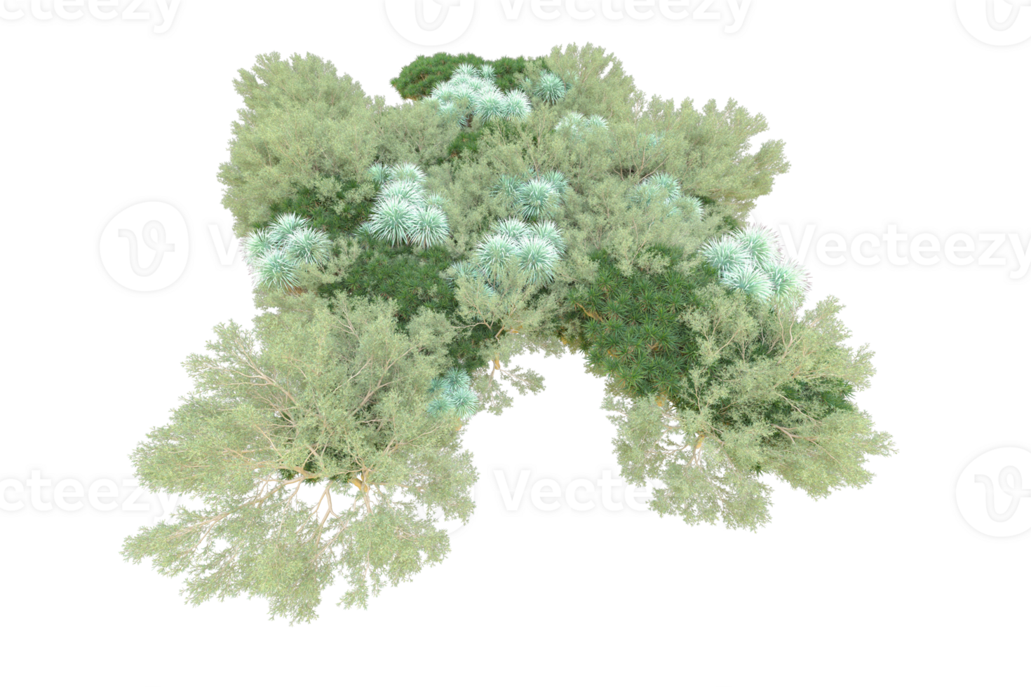 Tropical forest isolated on transparent background. 3d rendering - illustration png
