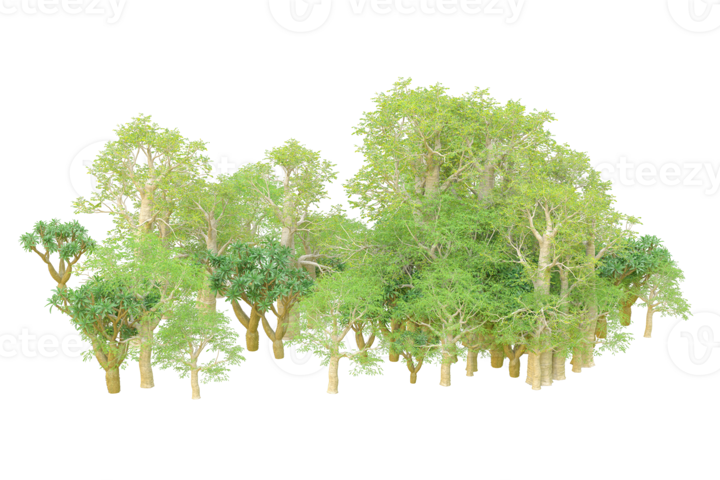 Tropical forest isolated on transparent background. 3d rendering - illustration png