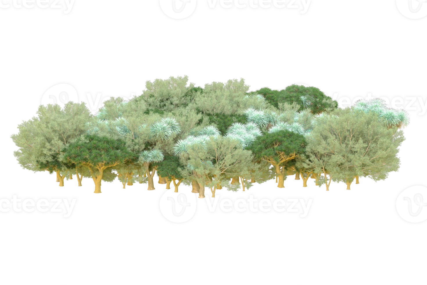 Tropical forest isolated on transparent background. 3d rendering - illustration png