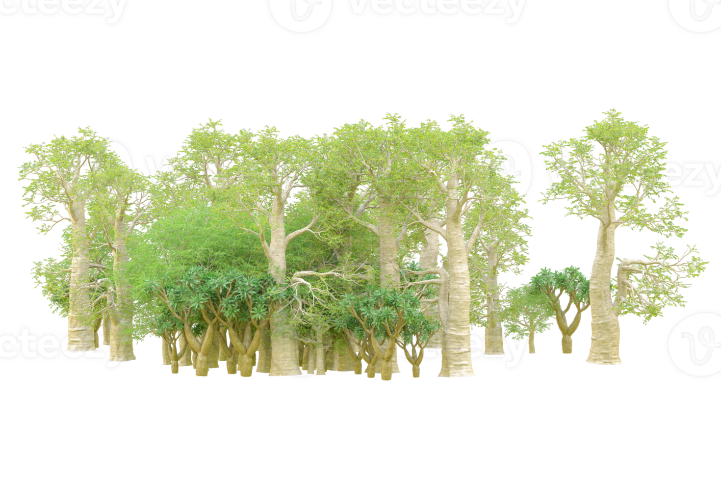 Tropical forest isolated on transparent background. 3d rendering - illustration png