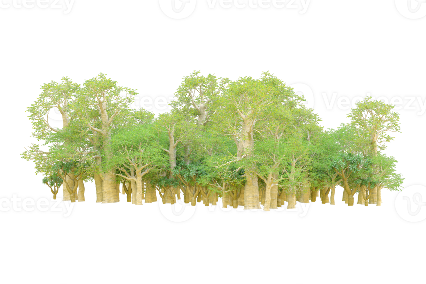 Tropical forest isolated on transparent background. 3d rendering - illustration png