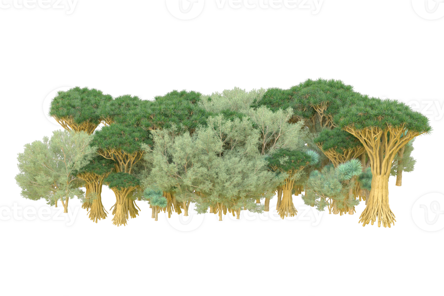Tropical forest isolated on transparent background. 3d rendering - illustration png
