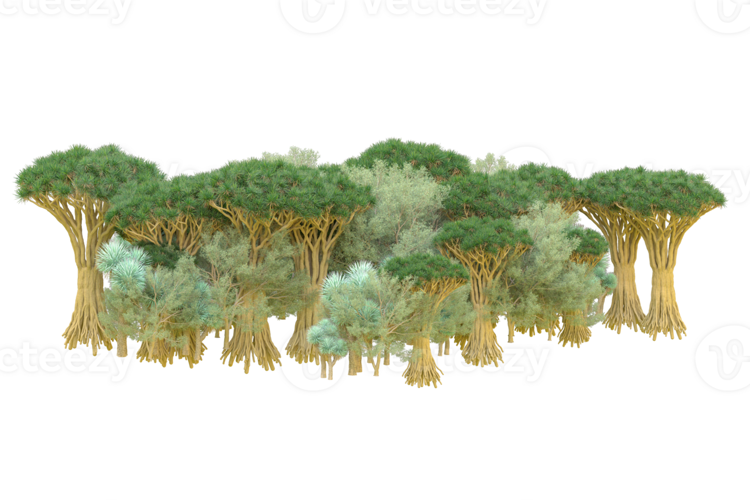 Tropical forest isolated on transparent background. 3d rendering - illustration png
