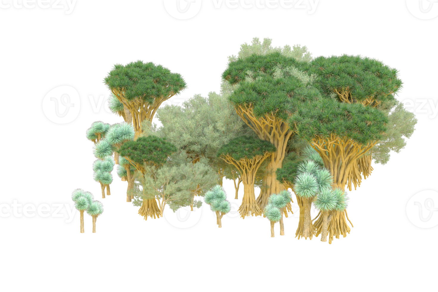 Tropical forest isolated on transparent background. 3d rendering - illustration png