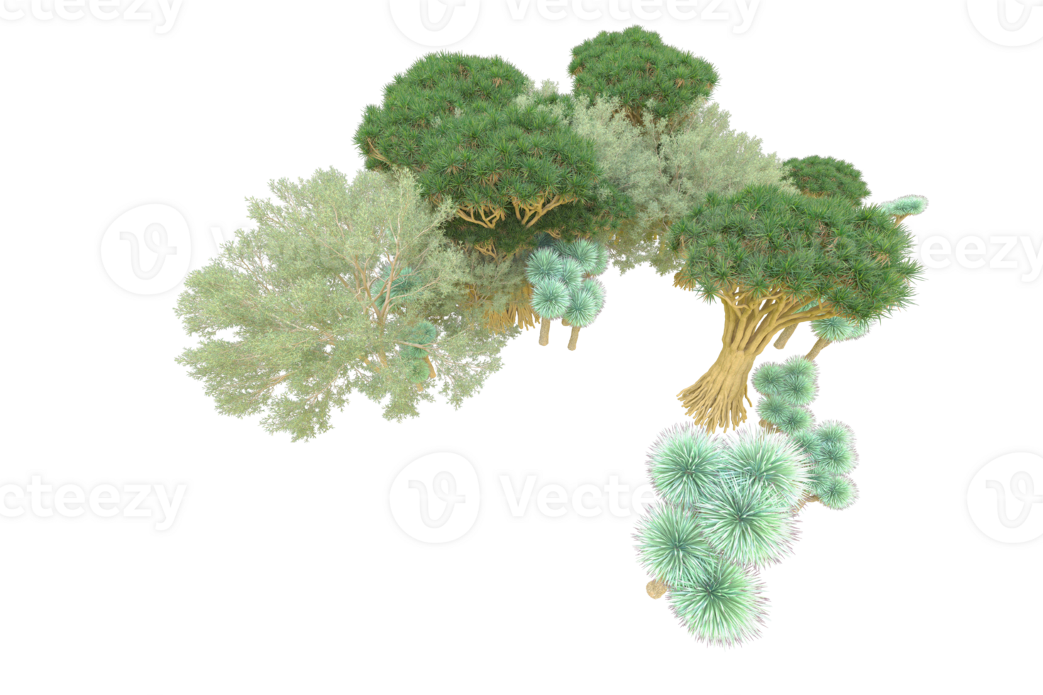 Tropical forest isolated on transparent background. 3d rendering - illustration png