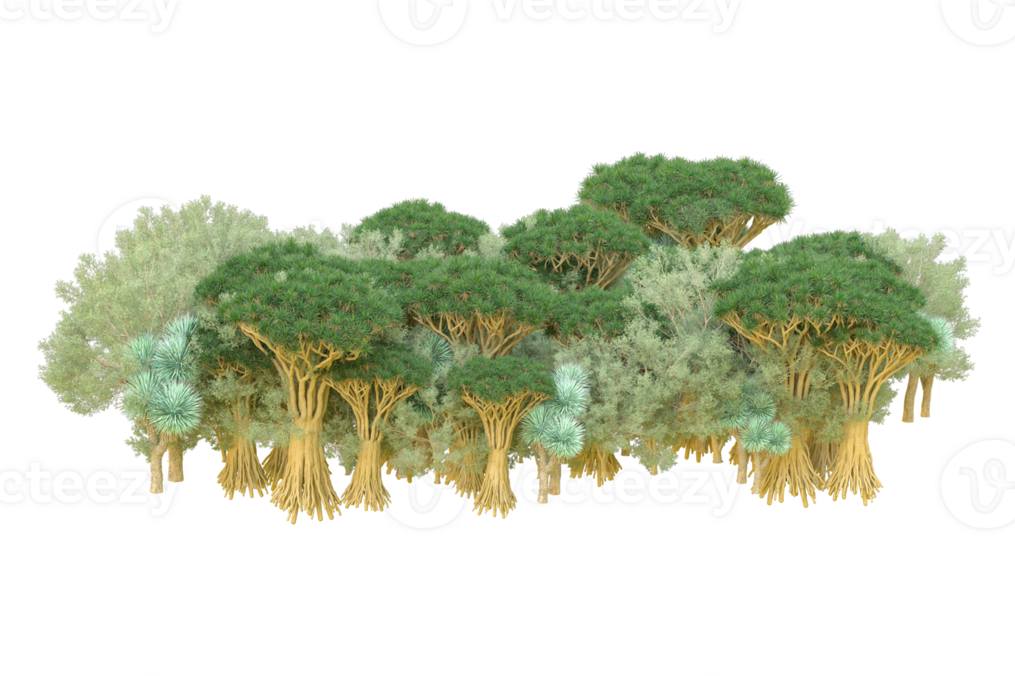 Tropical forest isolated on transparent background. 3d rendering - illustration png